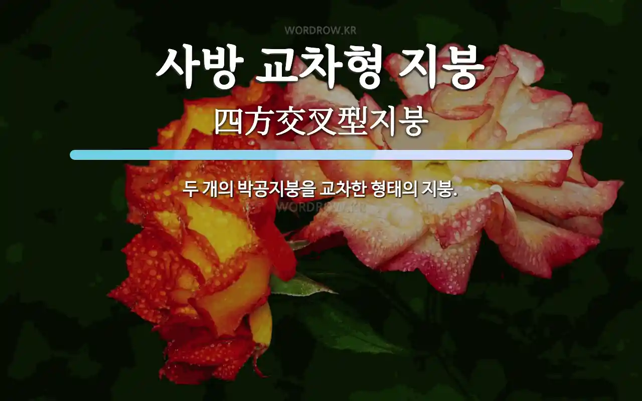 496fc330-d573-4ba9-a00e-48d39f464357.webp