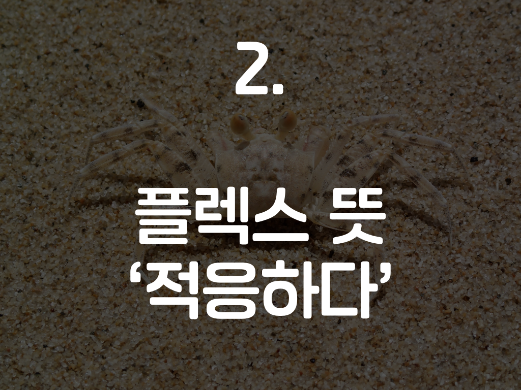 7c7c9901-c58b-4f4d-bda8-1b6525de9234.png