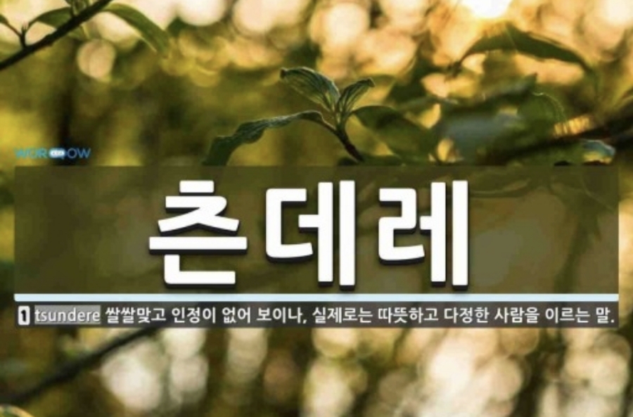 8ec88b2b-7cb0-483e-b3a9-cd7a189af98b.jpg