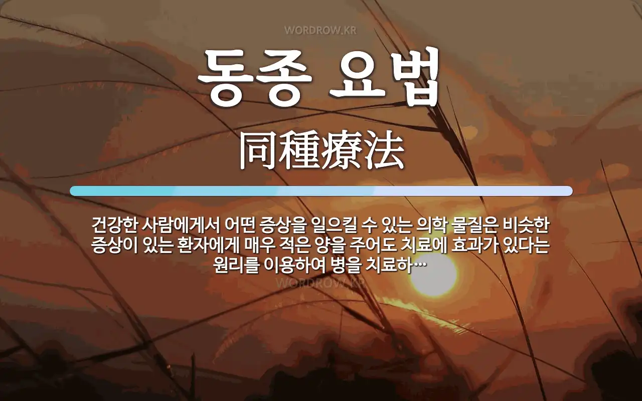 90e49960-6d54-40a9-a33c-e536bb36f49f.webp