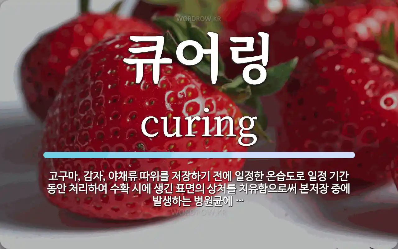 c8fe9cfc-3564-42b8-a85e-f0c72afecf11.webp
