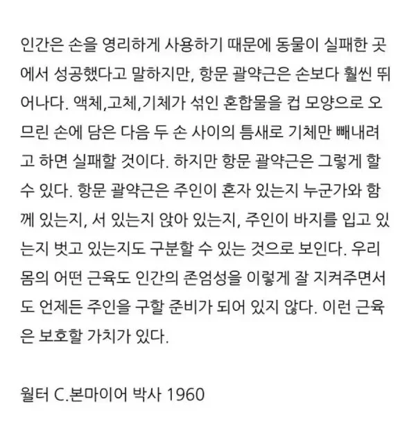 20260610234915_CowXVI04nS.webp
