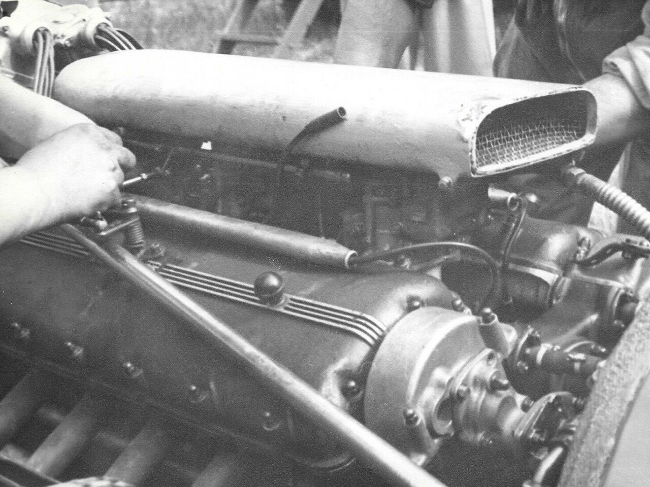 edaafde9-0de3-4516-a65a-8f85fb14cf73.jpg