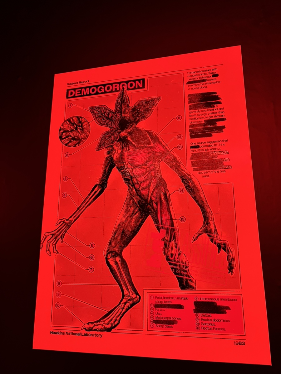 8b6fa3fd-bf43-4cc9-b73a-c05d222e6153.jpg