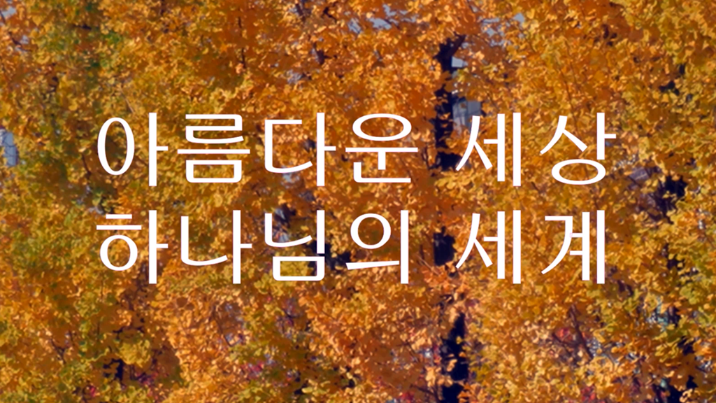 087e9e33-49dd-4dec-ad39-a4da282d675f.png