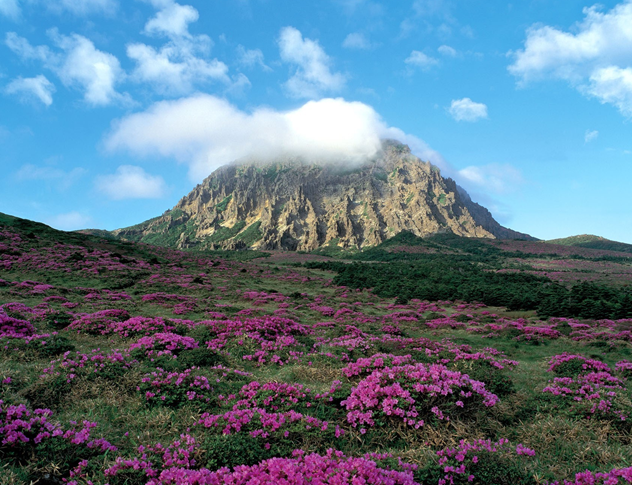 0a33d748-ef17-4c6e-b827-550432ca6167.png