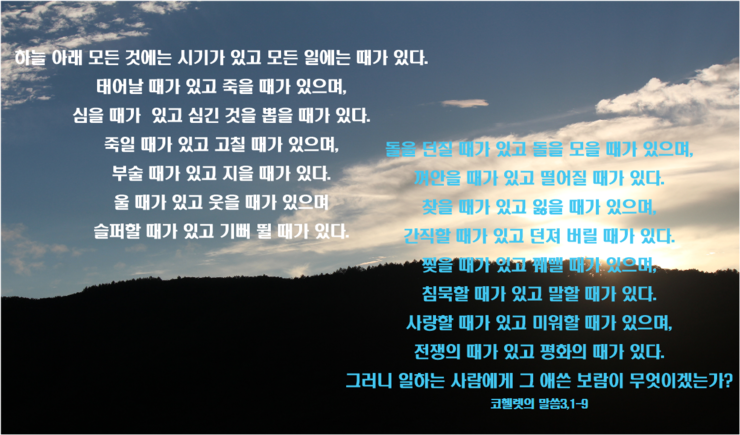 17474efd-8f2a-4681-8143-bc7aa6e53f9e.png