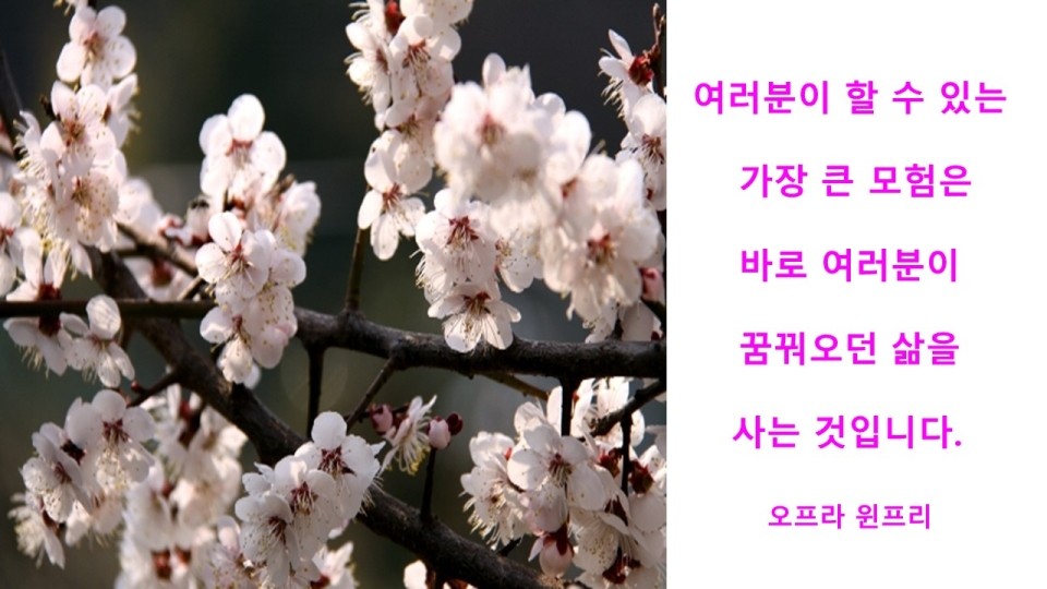 32a9656d-2c0d-420d-ba90-673b0b5a9a37.jpg