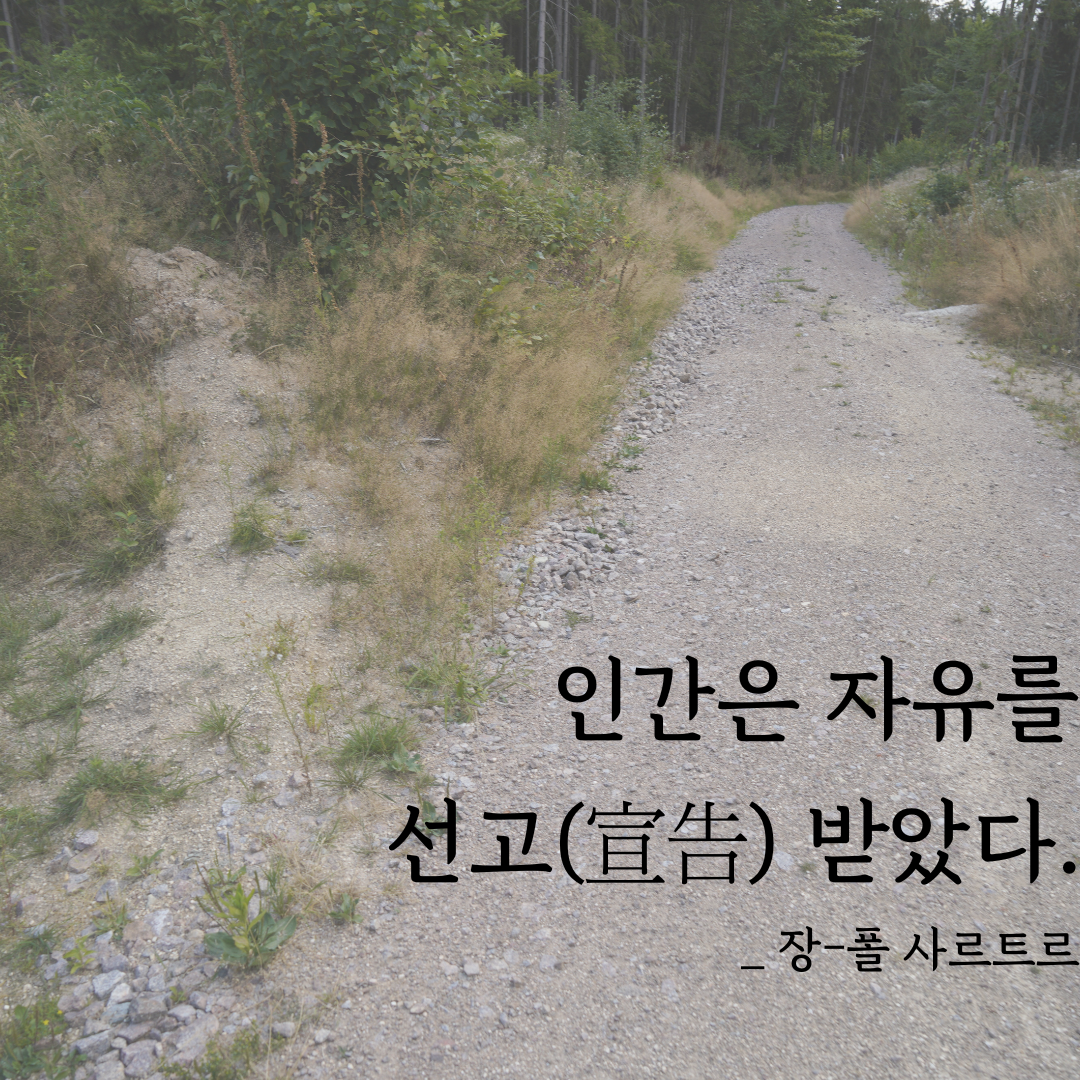 5909efd6-45ba-470a-8783-8e8e667d20d3.png