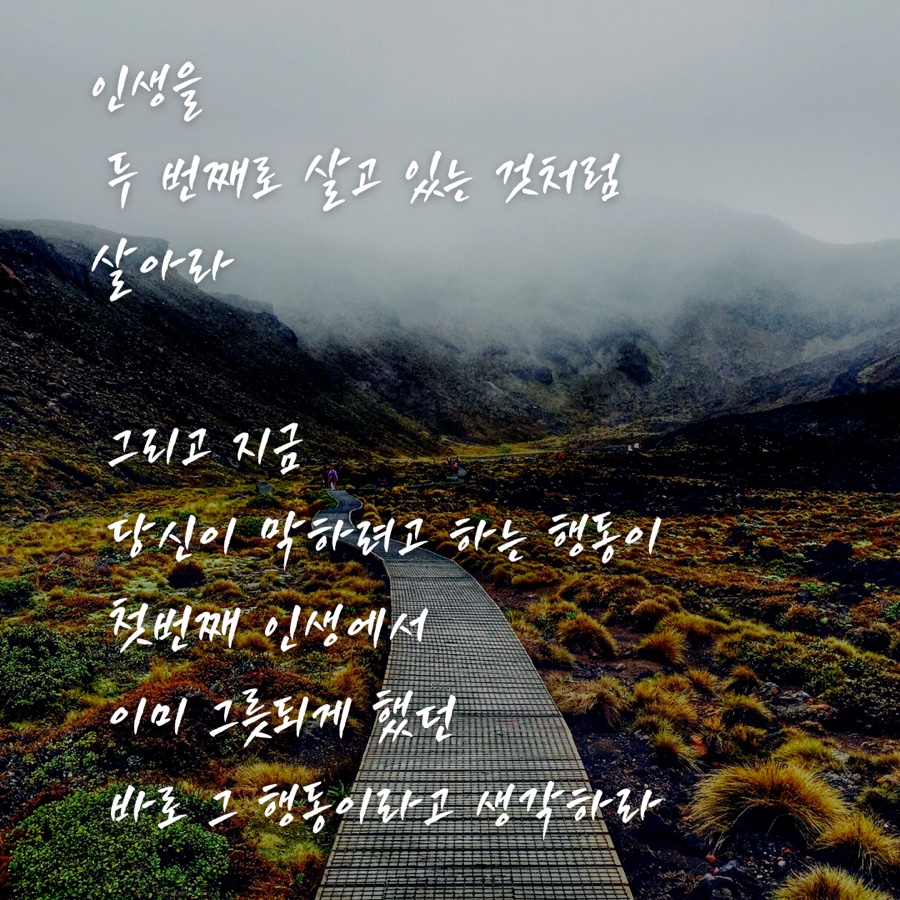 646775d9-cf8a-4459-bde8-f8b33ca3c116.jpg