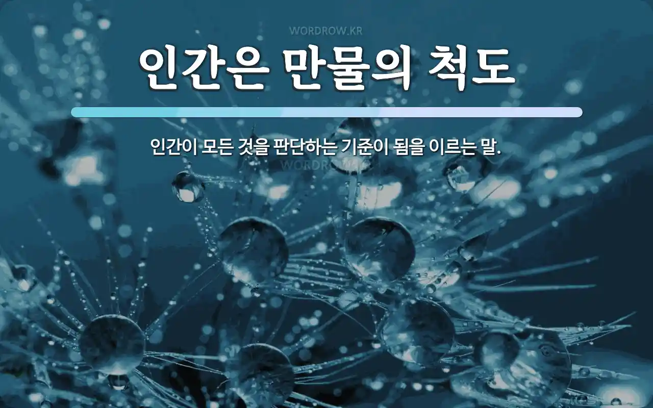 6c89b352-5a4b-4d85-a3af-b7c890551c87.webp