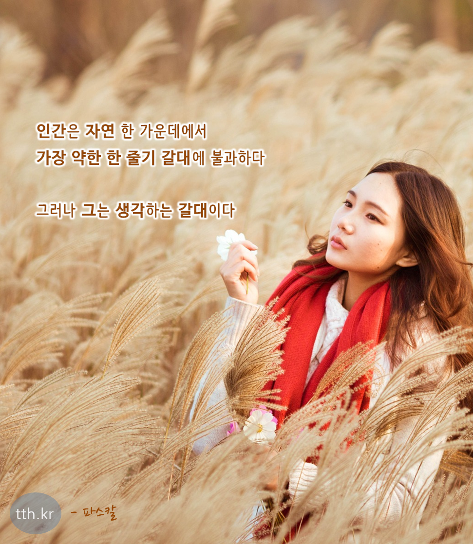 6f51ade3-c733-4d63-825c-84459d4c7c43.png