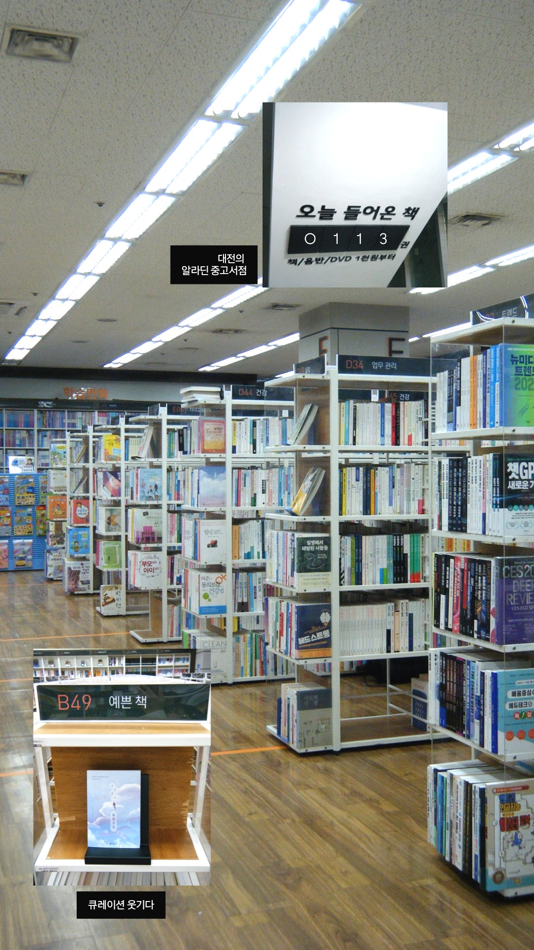 8a04c9d5-09e7-48ef-ae75-25418a38397b.jpg