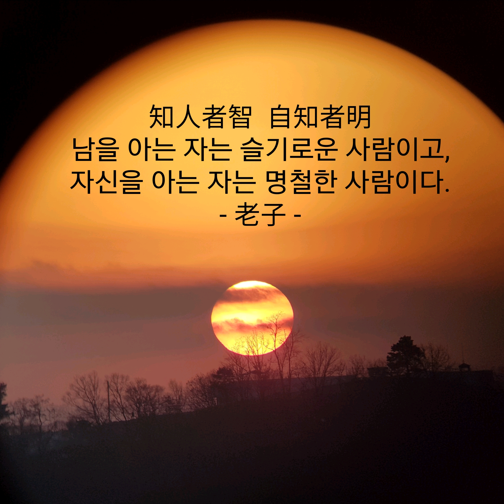 99a0ccee-0566-4023-a4c0-9fe494da7ca4.jpg