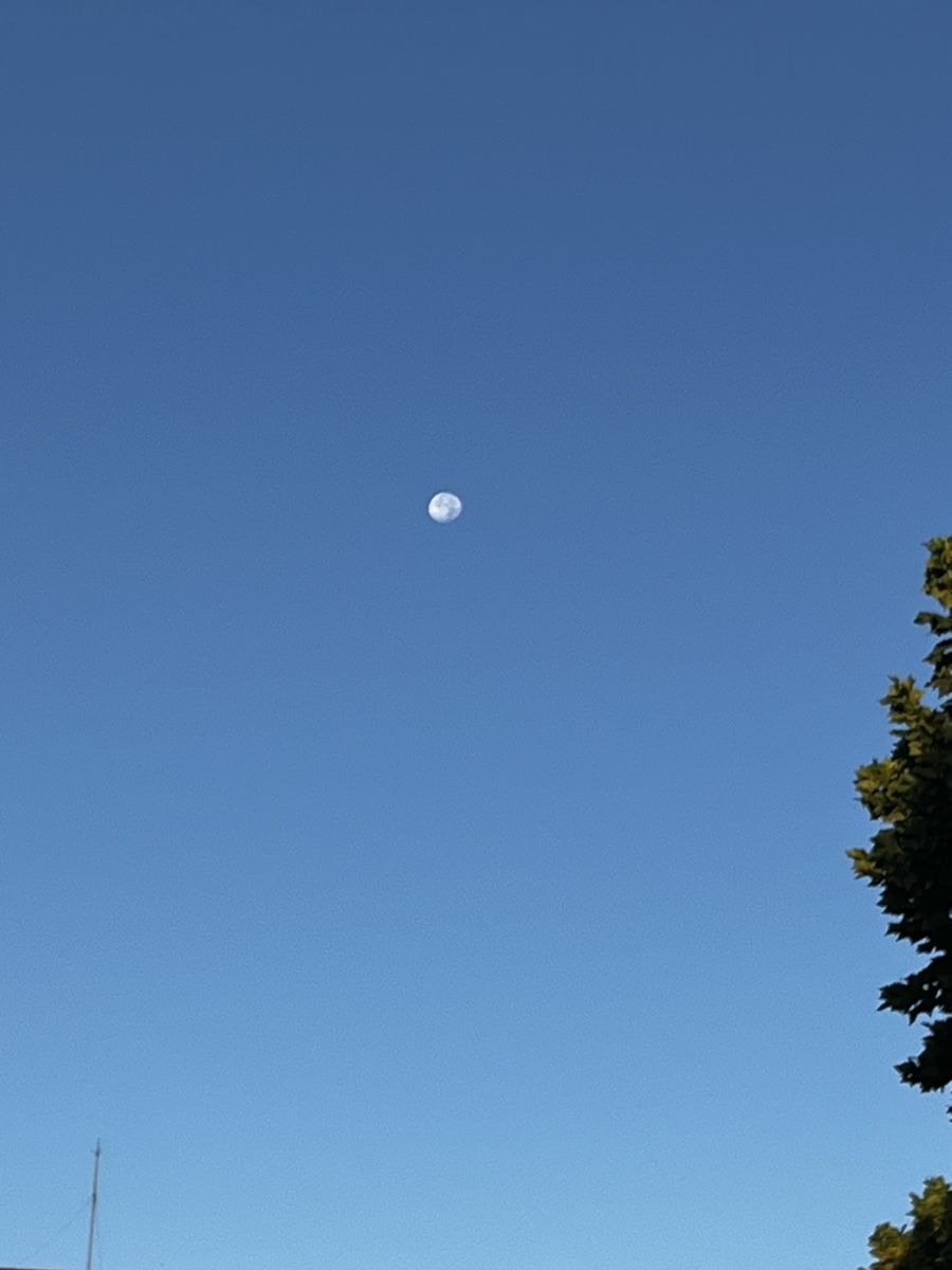 9c5c2214-668d-4d5b-9200-c0345c73c5b7.jpg