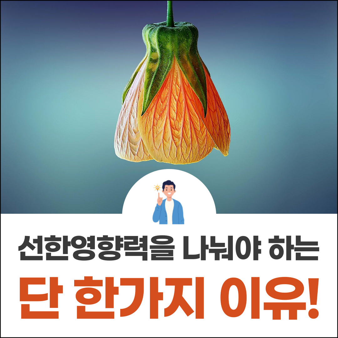 b4cc3838-278d-4b33-b525-f111767f84fa.png