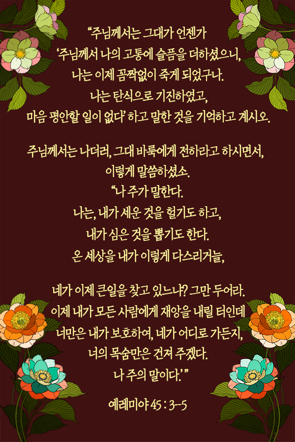 bbd6ff2d-8eb7-4c1d-b9da-5d7a2f6c2d00.jpg