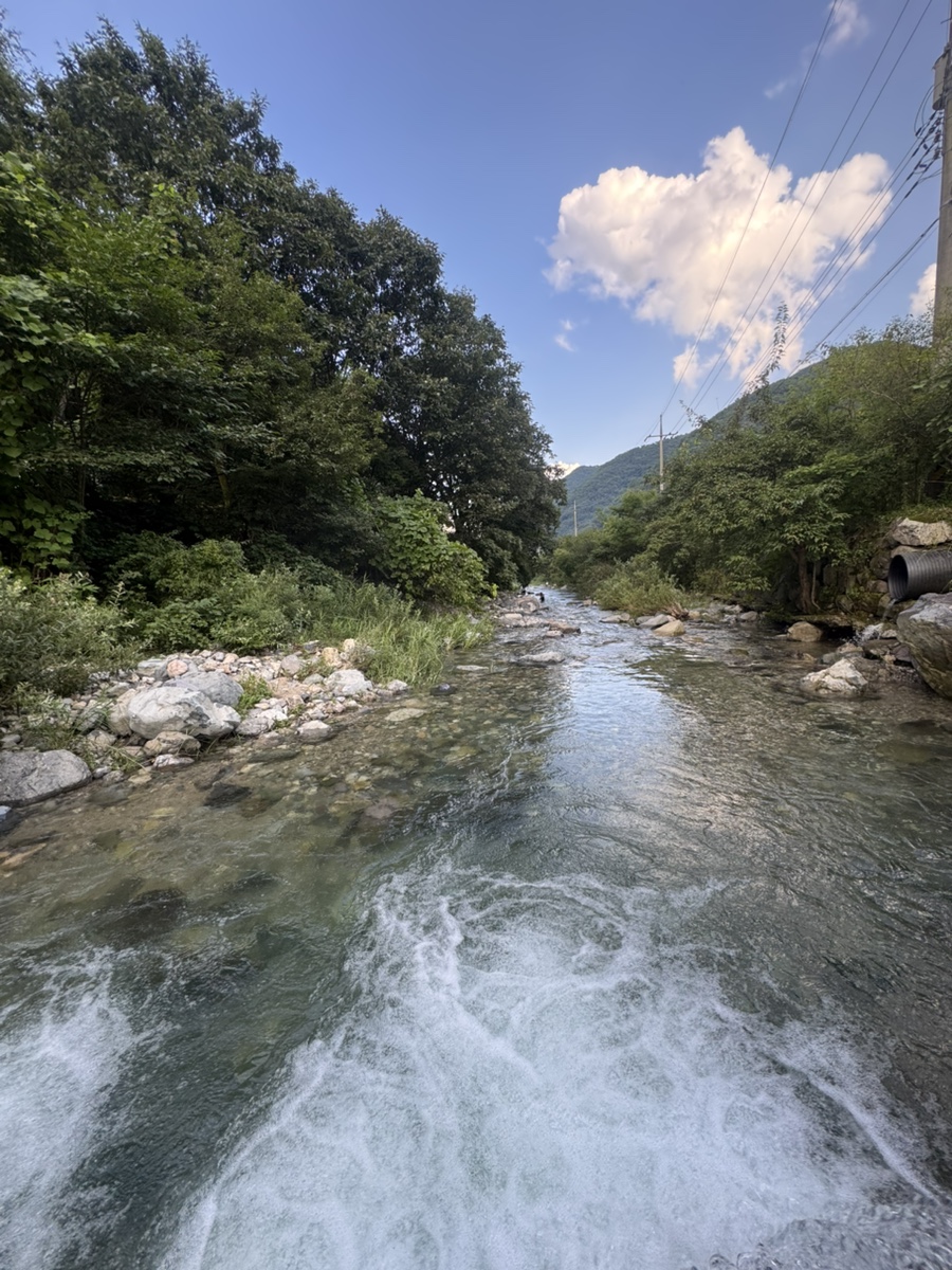 cc5fcdc9-356e-499d-b50d-636b8b449d7a.jpg