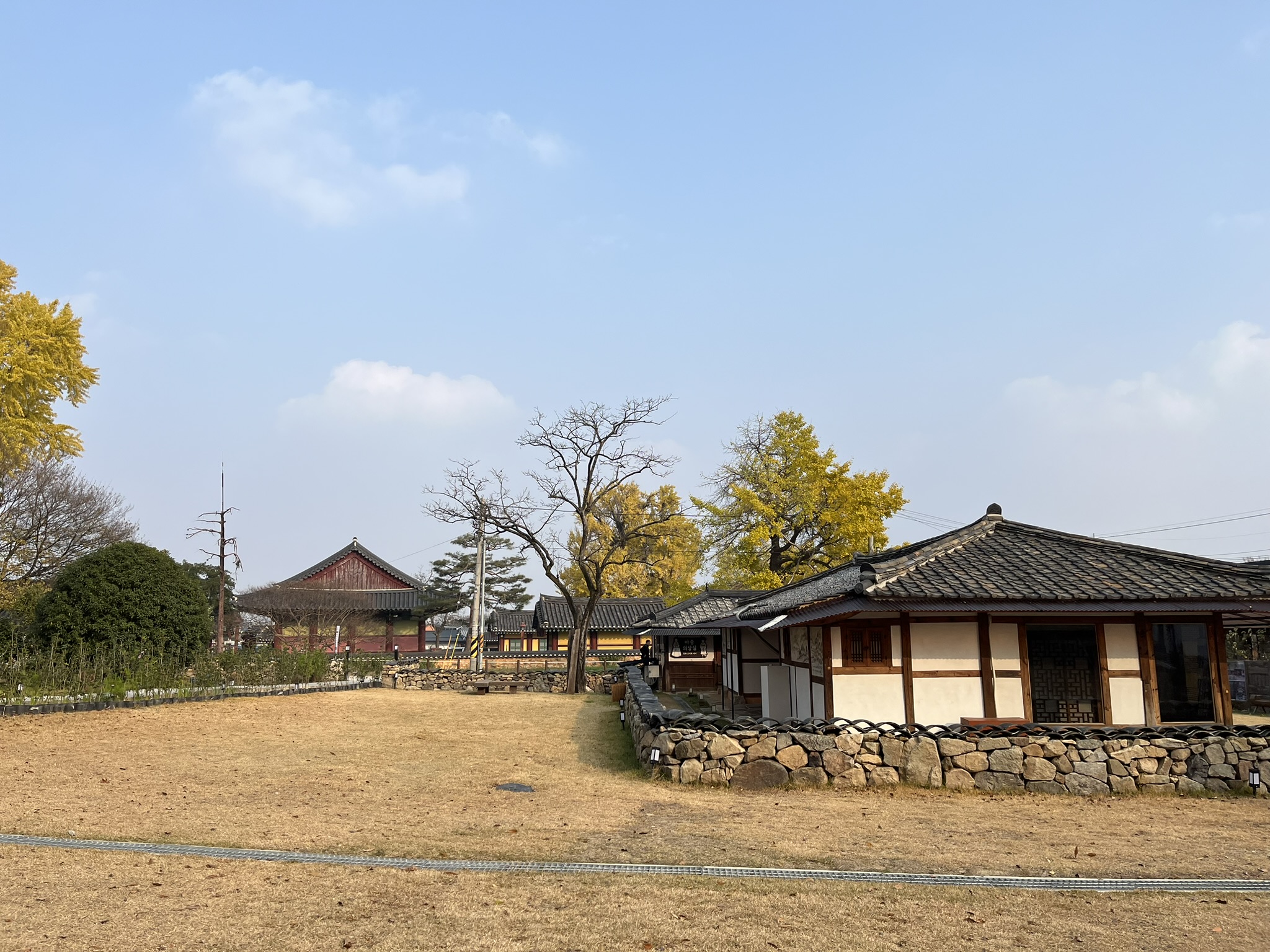 d7068d25-f957-4eb4-ab9a-d172e9be0dc9.jpg