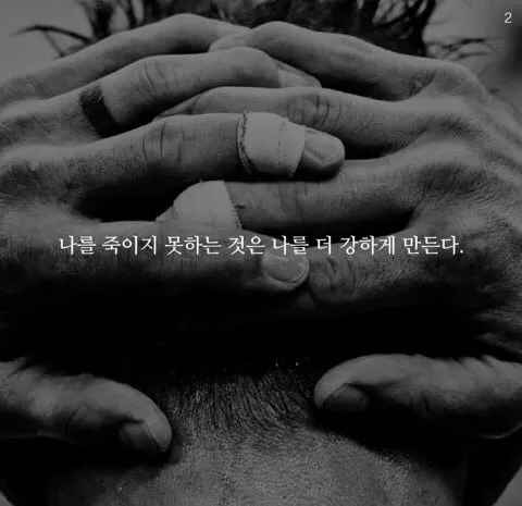 e915796e-7ab6-4eb9-8d5c-4fa5345173d5.jpg