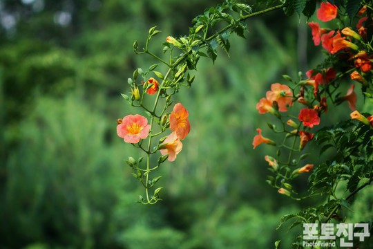 f1ccb097-c70e-4de1-aae6-01add0d200bb.jpg