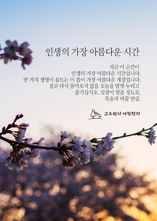 2b1a419a-22cb-41cf-b4d0-de0e73136562.png