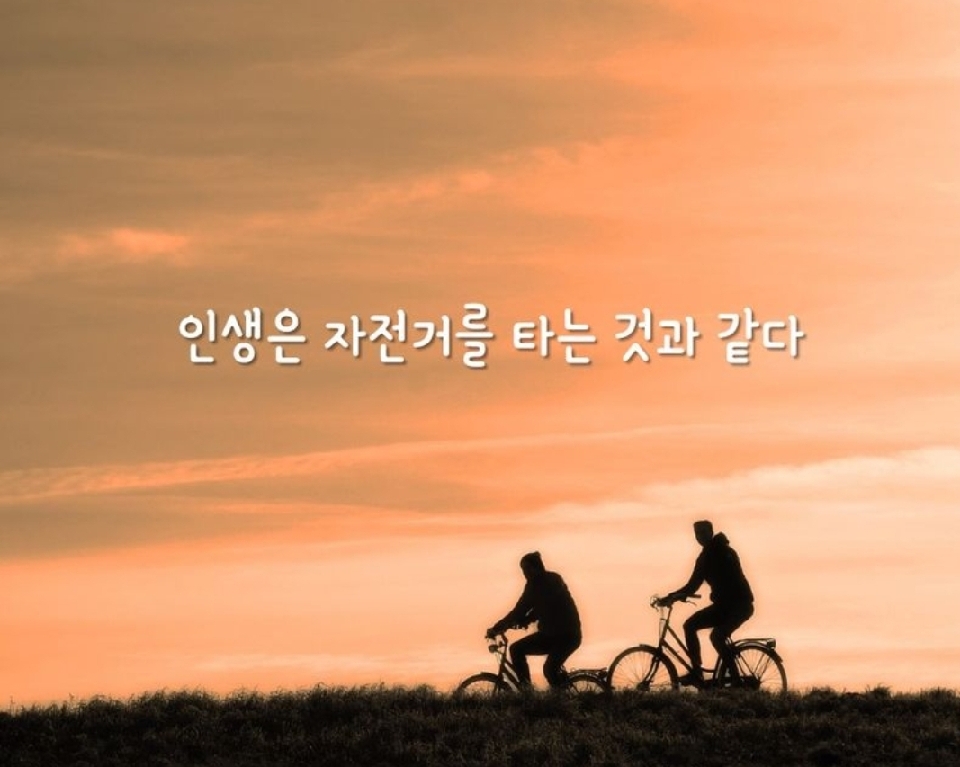 4933b351-a5d4-42a3-9cd7-6ac6a556bb17.jpg