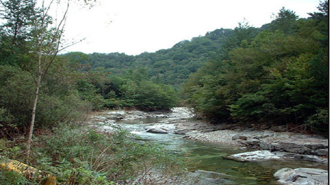 711f16d6-560c-4afd-af37-4a71d4ae1c2f.png