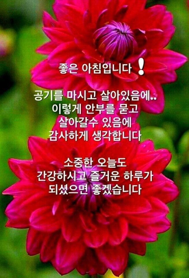 76b63aed-2b51-4c1d-87e3-b7cb5e539d71.jpg