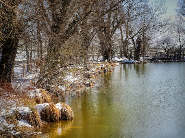 8c11890a-5f24-4144-8b97-5973ad34ed65.png
