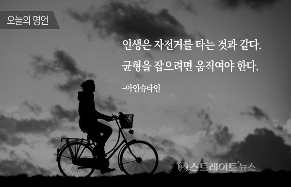96e42c75-a2f0-414b-9e30-854b2129d8b6.jpg