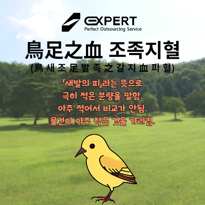 03b6e701-ee4e-40bb-a77d-62fb98de9a84.png