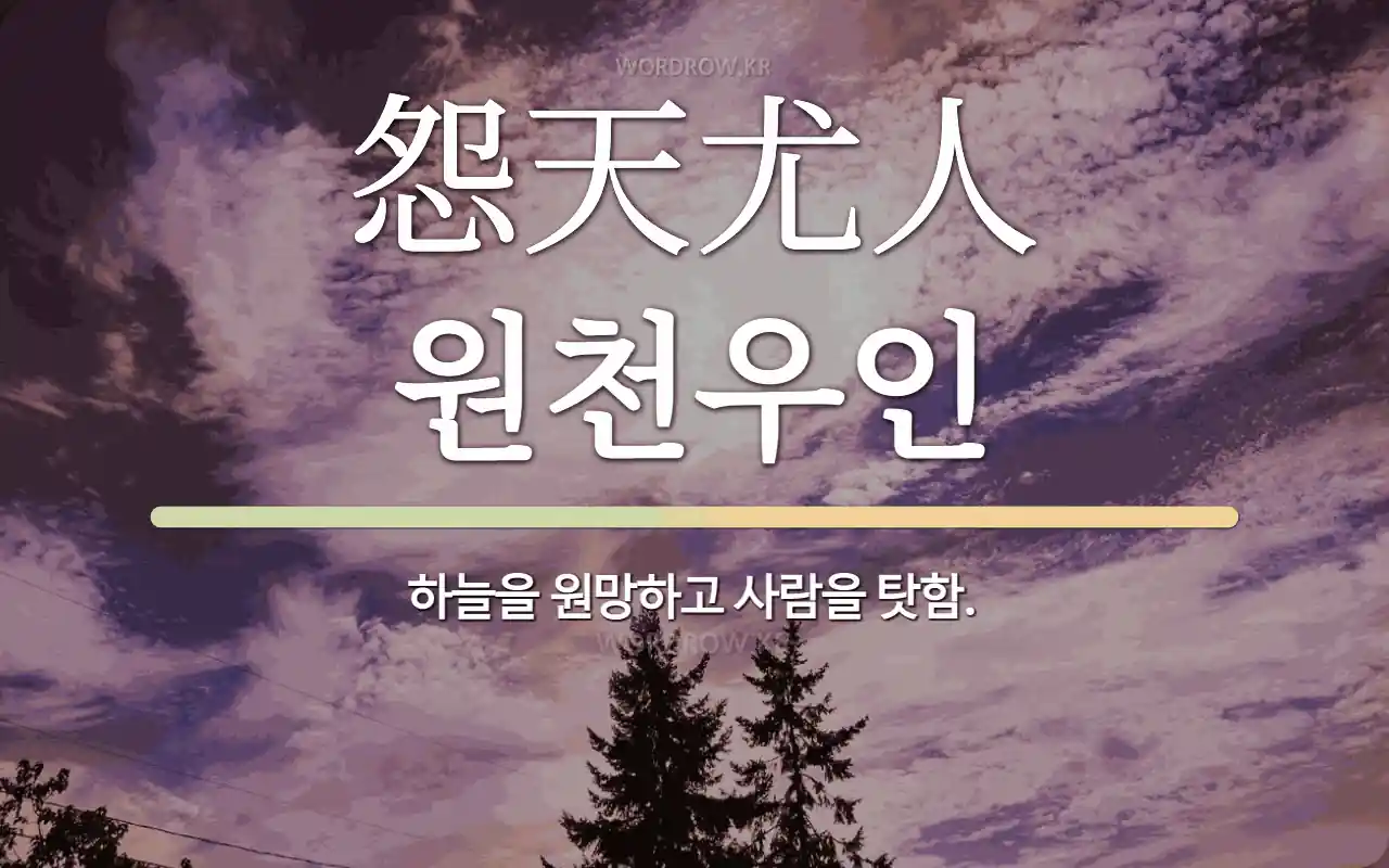 03bf555e-dfad-40d7-88dc-f065732de67a.webp