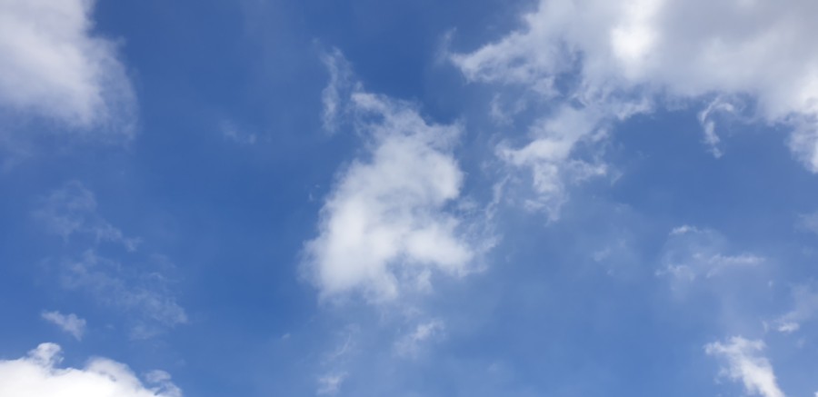 20faa0f7-531f-4a24-a108-de8a0914c0e4.jpg