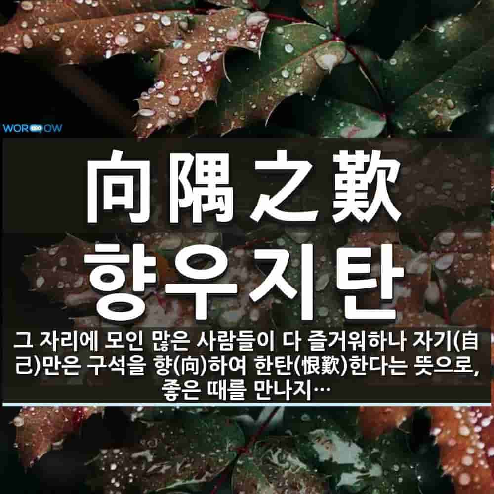 25c125cd-0b96-47ab-83ca-201c020a5833.jpg