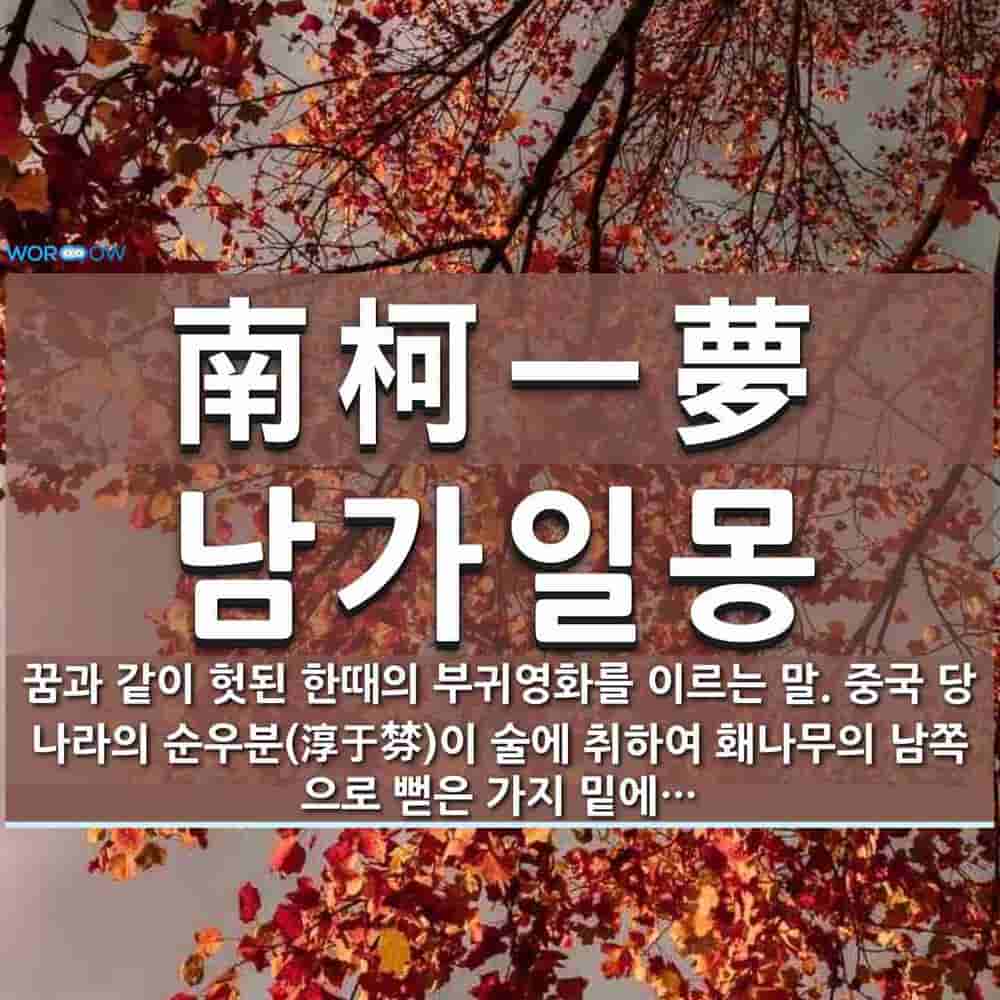 25cec813-9eab-47ca-ba7c-2940144cc321.jpg