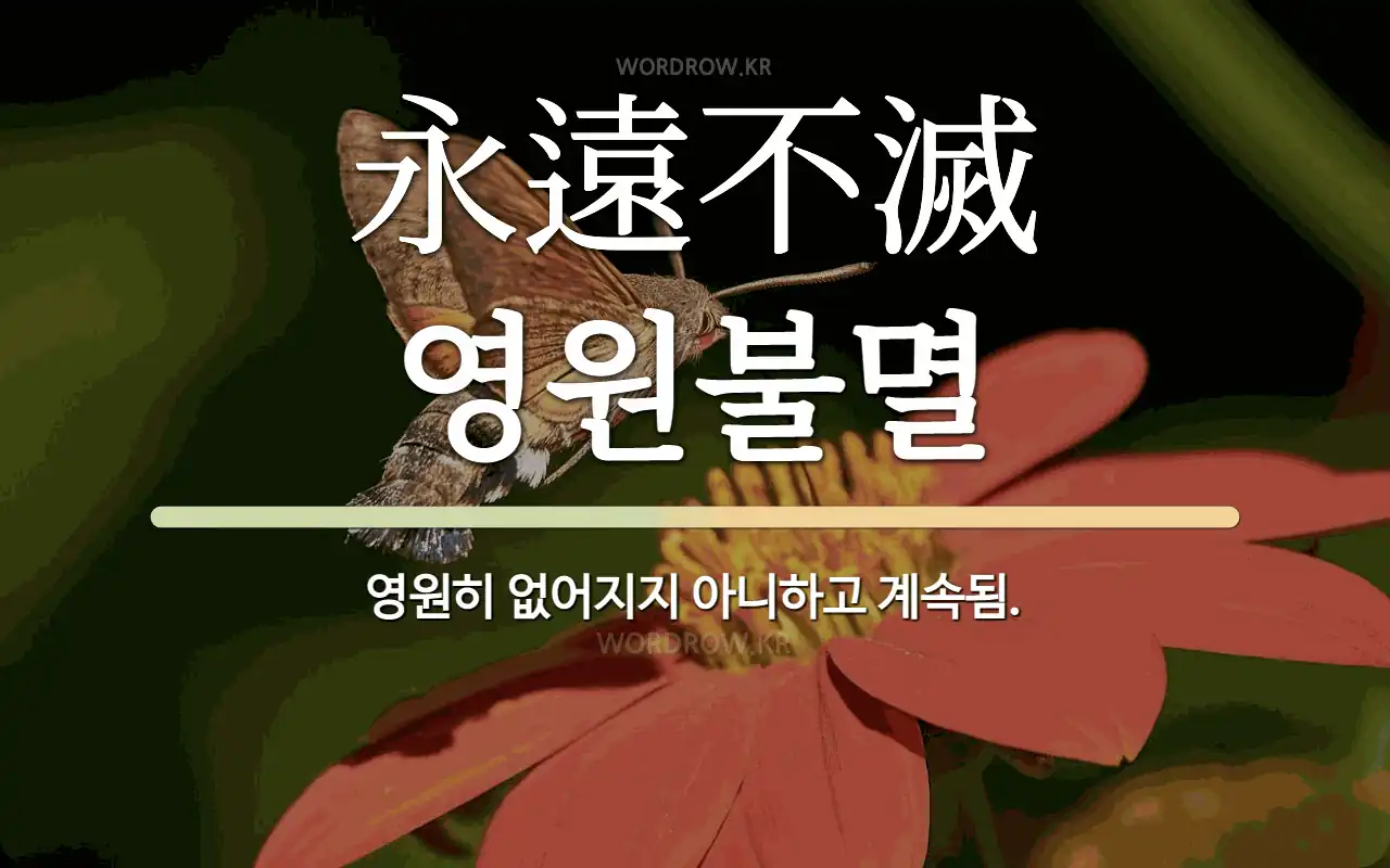 2a80efa2-0c76-46d0-9ec8-ab81f2e042c6.webp