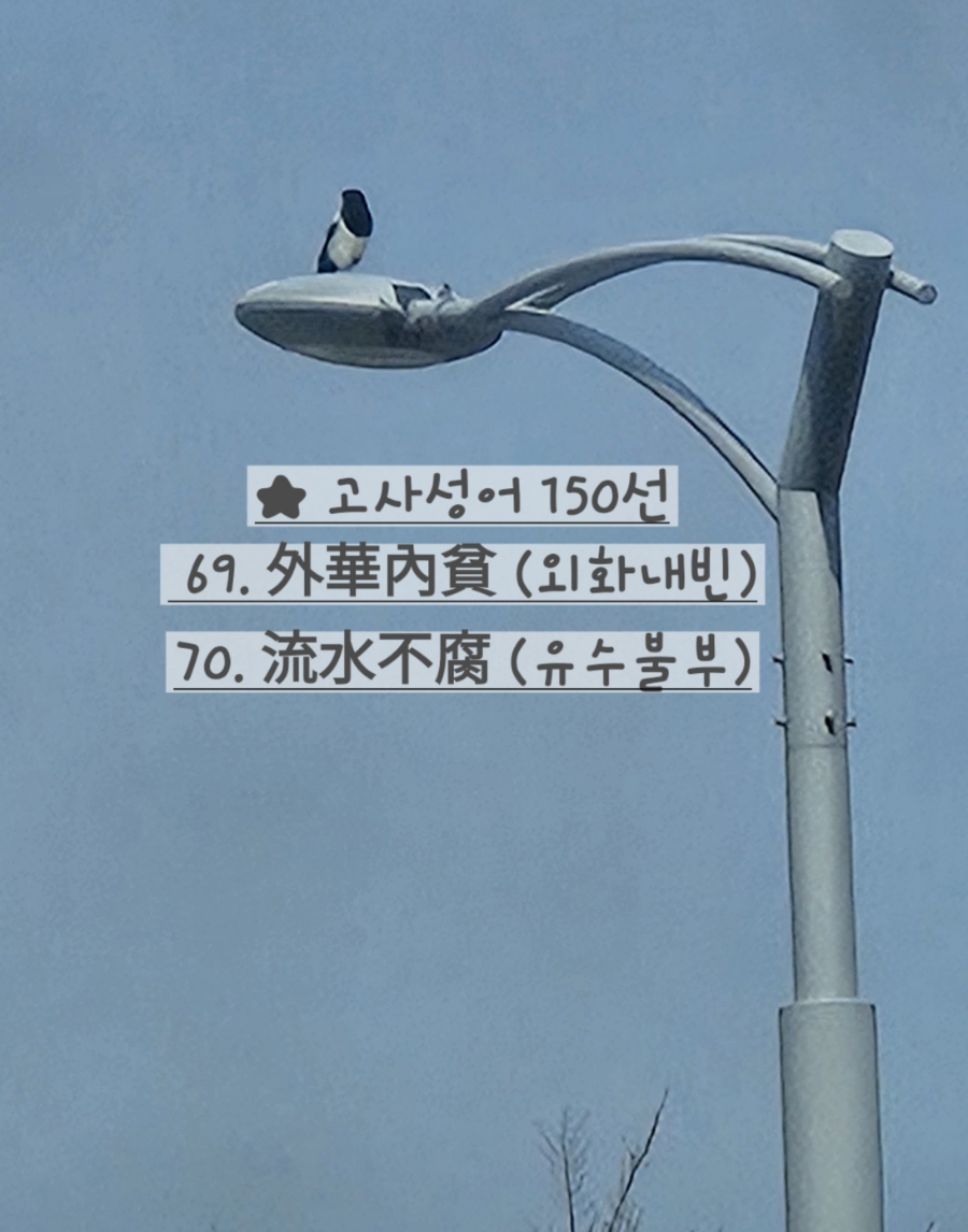2bcd0aaa-aada-44d8-9dbe-74ee360d8a3d.jpg