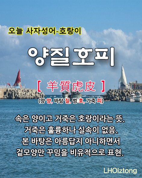 2ca88770-ca50-4830-bec4-24c8bba0e22f.jpg