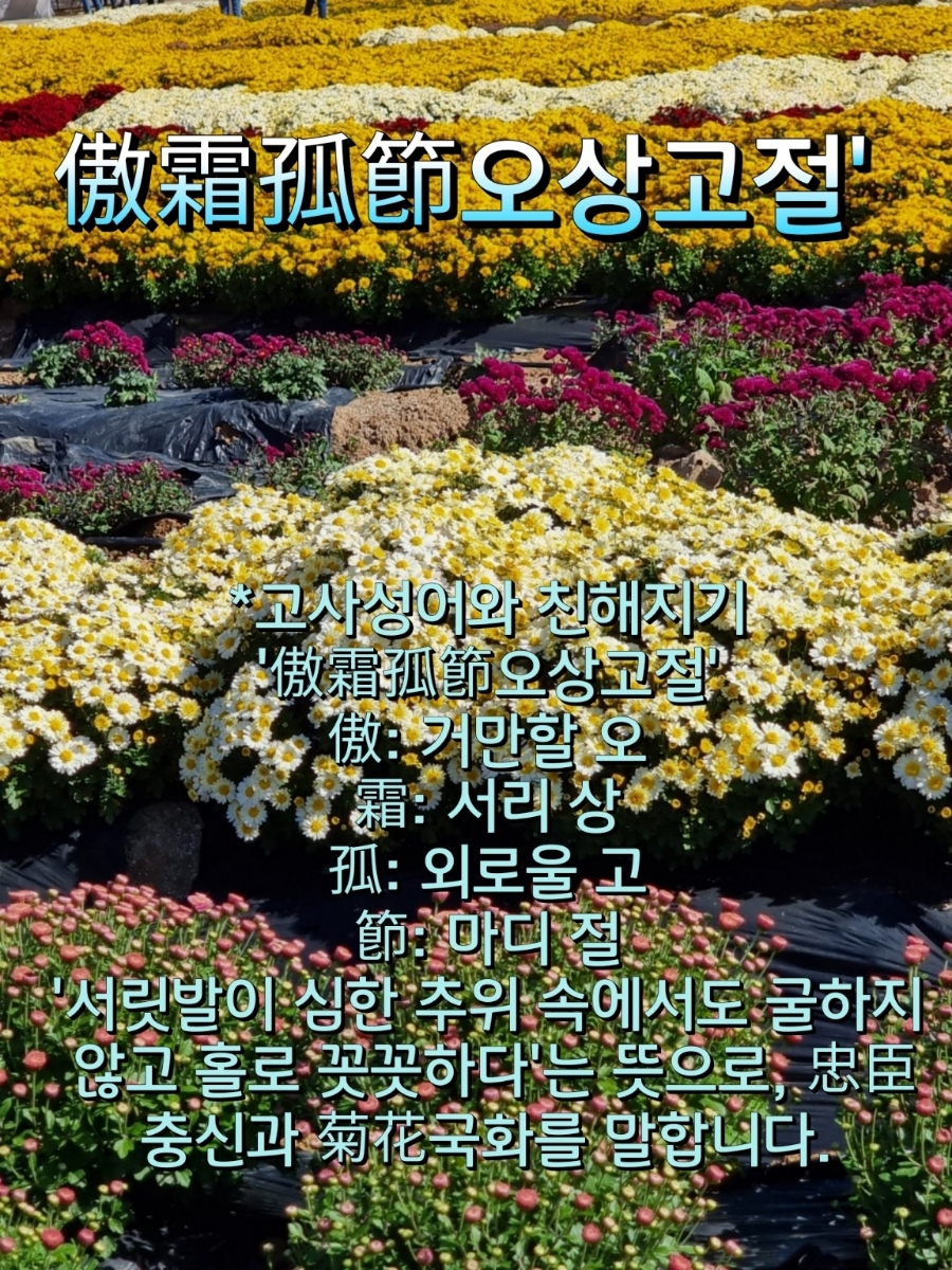 3253ce51-0297-4280-b641-09f7fb09add8.jpg