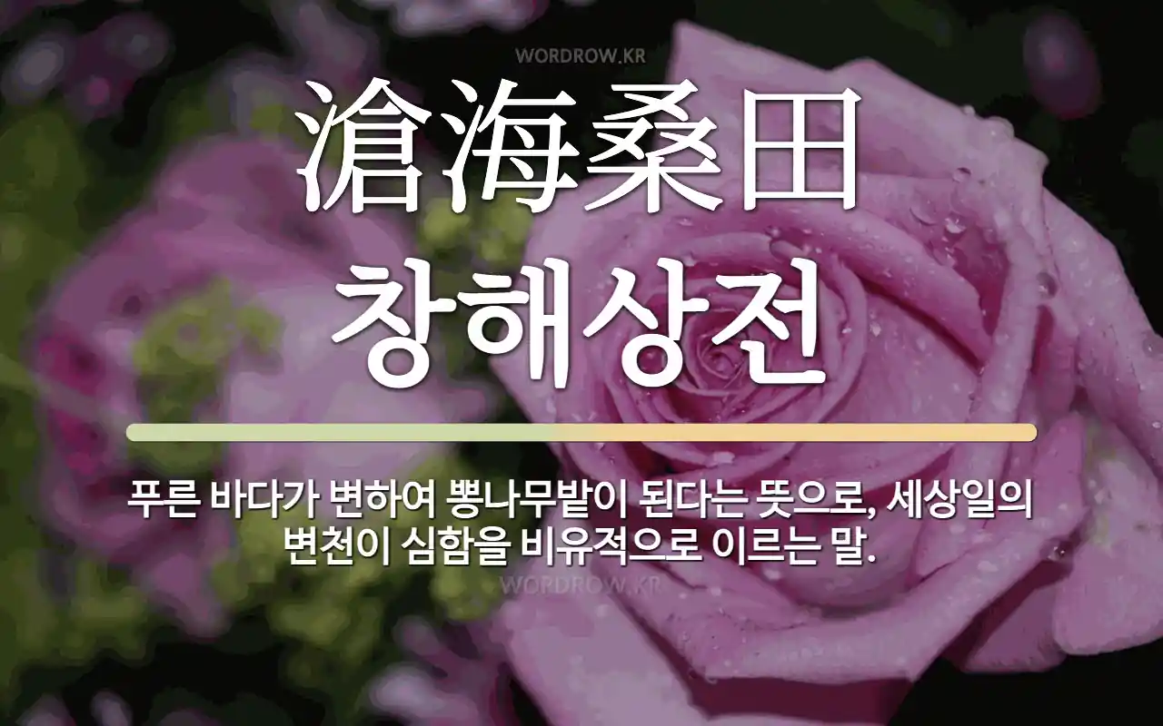 3448258c-5a2c-4f45-92ae-3488f0b9c325.webp