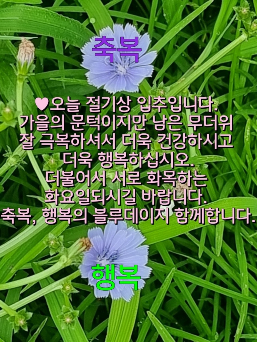 3a595779-7ad7-4a3c-bf3c-0e8258f67fcc.jpg