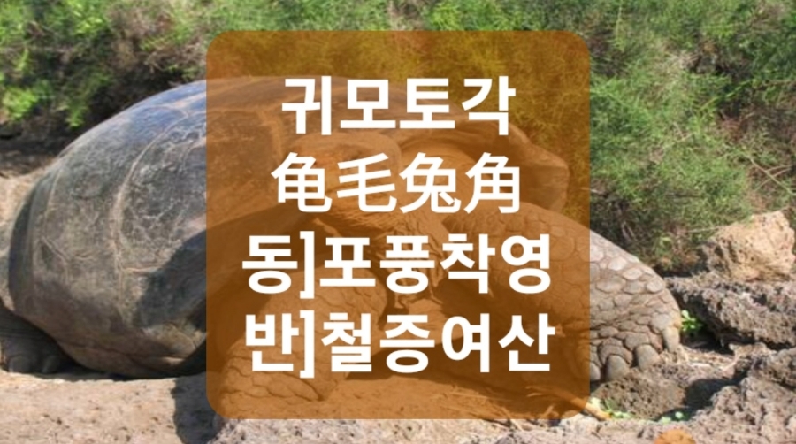 4444cc33-977f-4ab4-9250-47932b37a24c.jpg