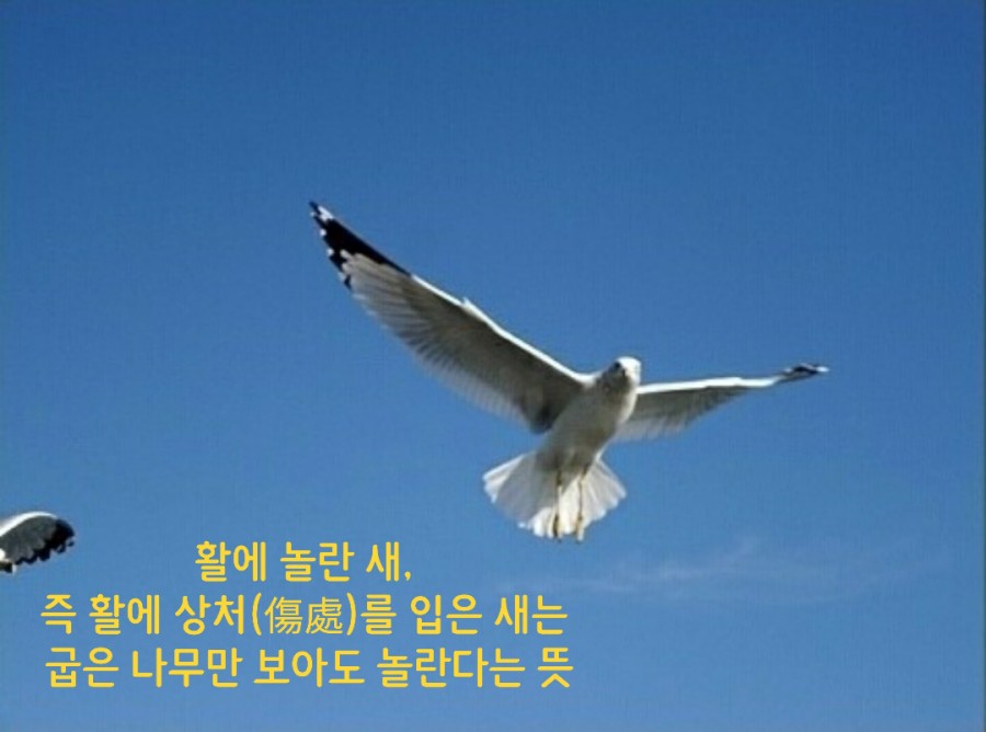 454709a4-5b0f-4f4e-8f60-e27bc99b1b01.jpeg