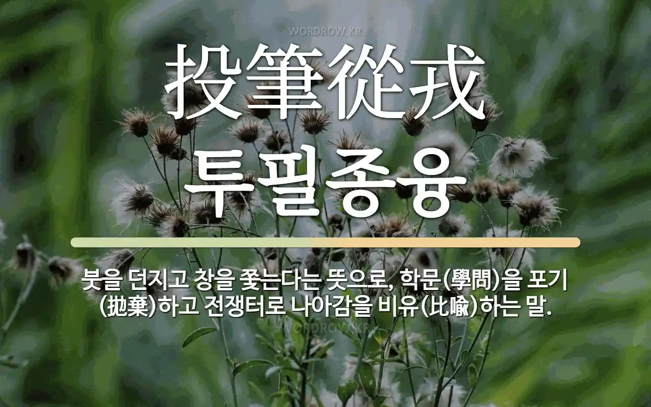 4ea8f71d-1e7a-4949-a784-4e2f86c07d01.webp