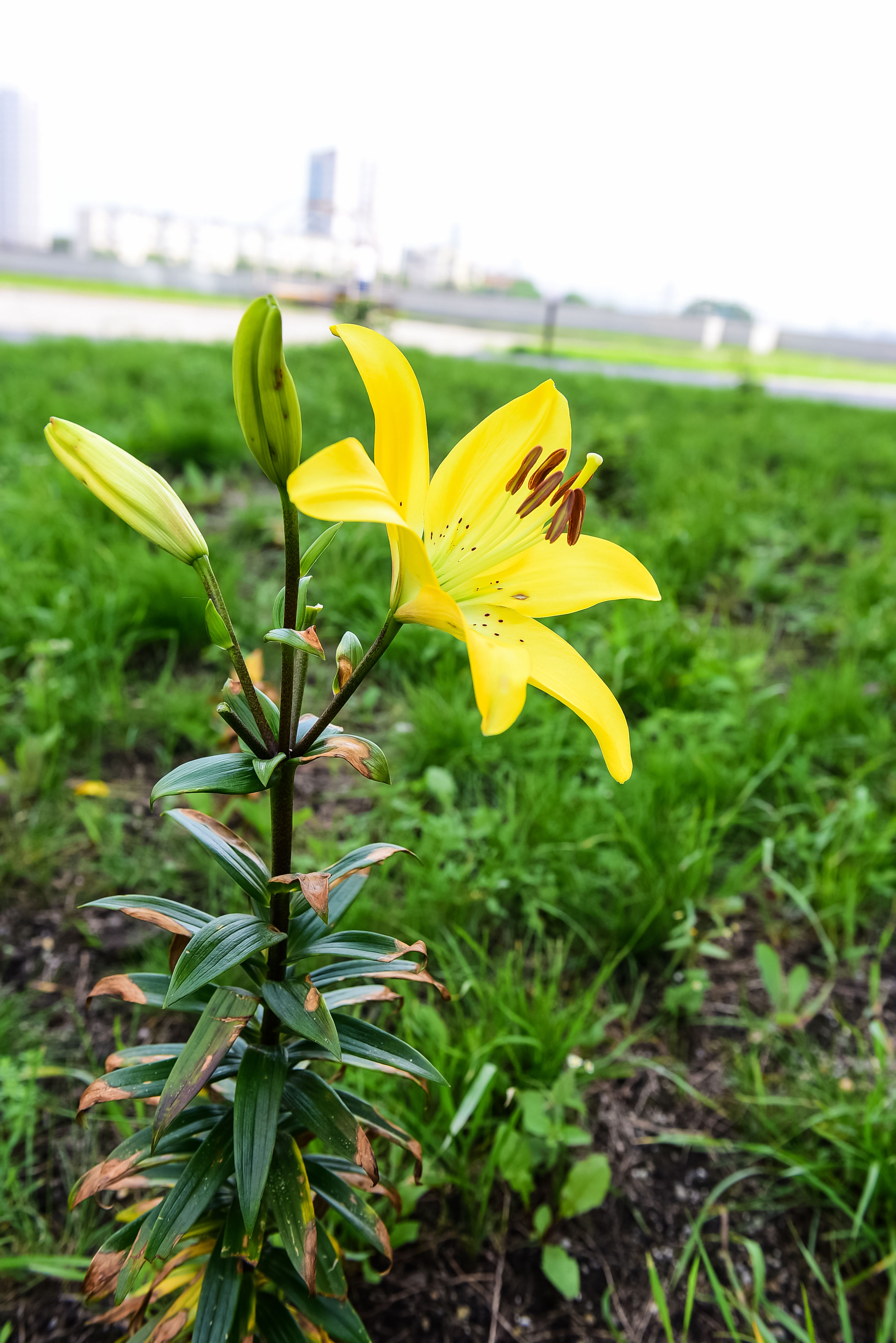 519f31be-8731-41ef-86f5-5a0dccf56d63.jpg