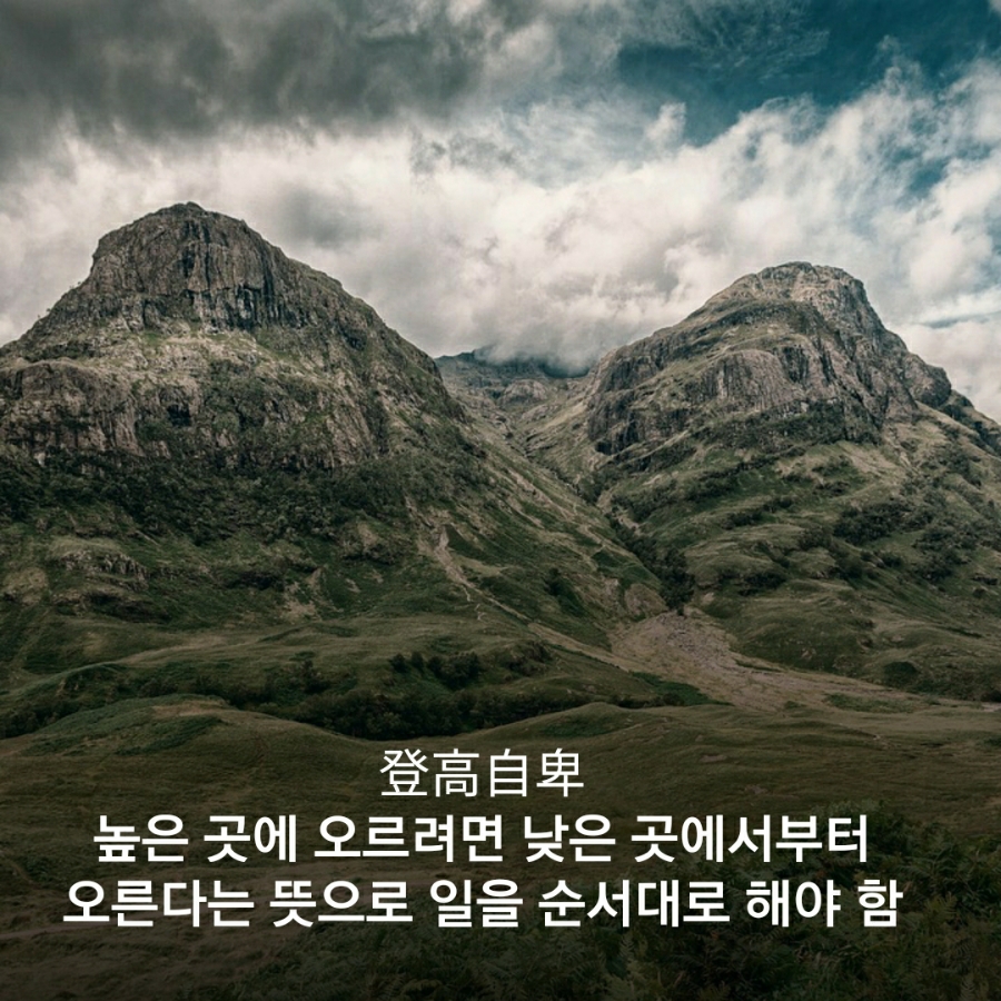 5c9df787-668d-4998-8063-53d6fccecd2d.jpg
