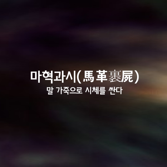 5f42d3d7-8e58-4f76-87a2-ed881a786682.jpg