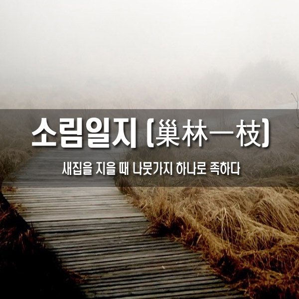 5fb0abb3-6b47-41f5-9b9d-d44e1f16eeff.jpg