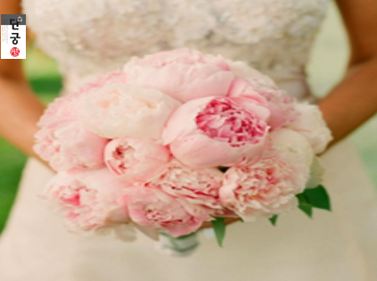 637726a6-44e2-4a44-8a0f-80b5d24d5344.png